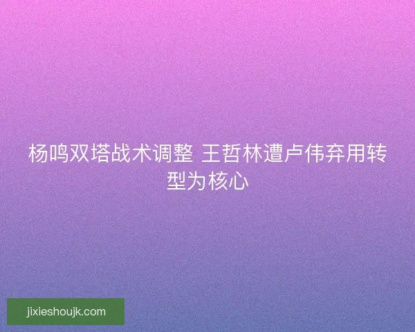 杨鸣双塔战术调整 王哲林遭卢伟弃用转型为核心