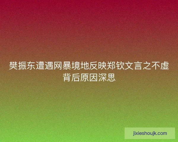 樊振东遭遇网暴境地反映郑钦文言之不虚背后原因深思