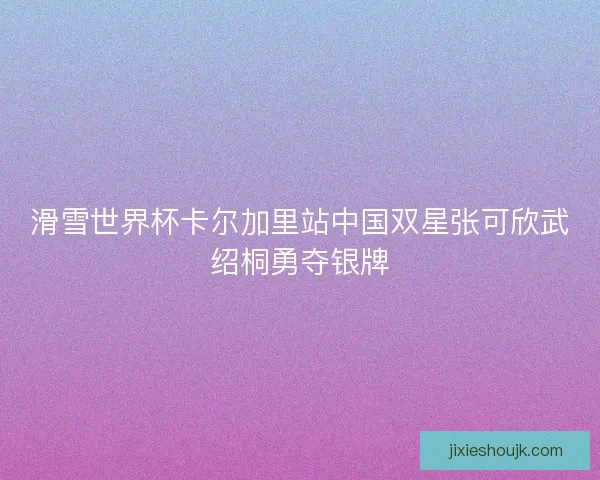 滑雪世界杯卡尔加里站中国双星张可欣武绍桐勇夺银牌